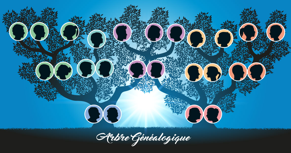 arbre généalogique